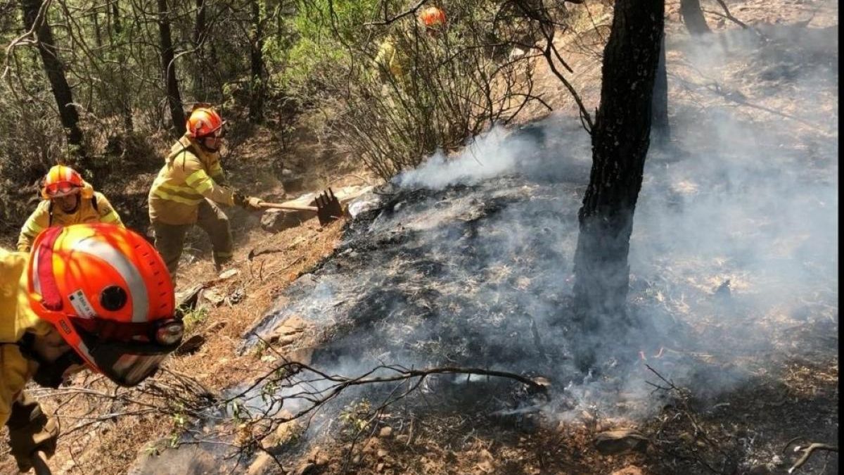 Efectivos del Infoex trabajan para extinguir un incendio forestal
