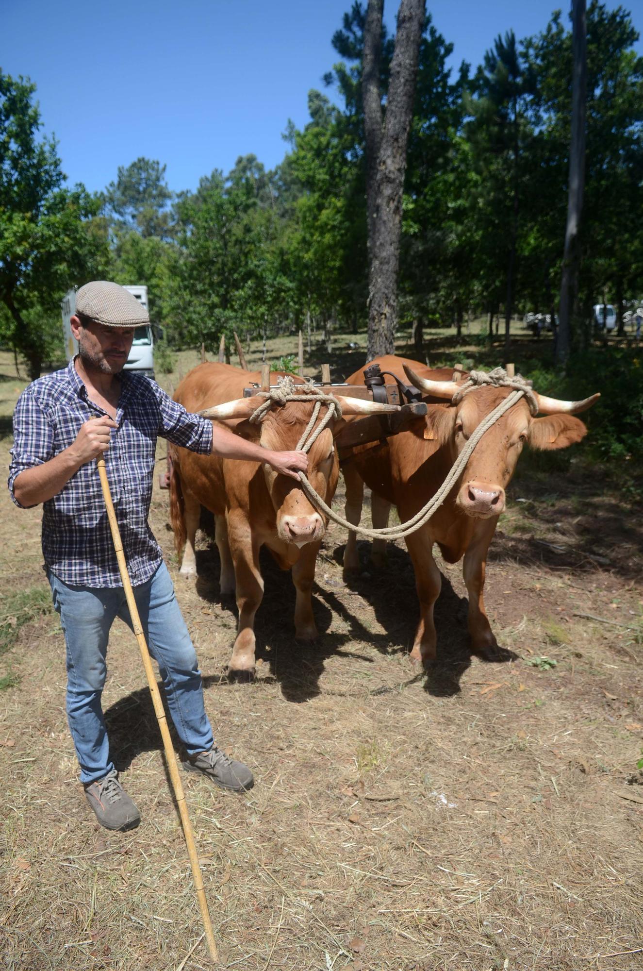 Baión retrocede varios años en el tiempo para mostrar oficios casi extintos