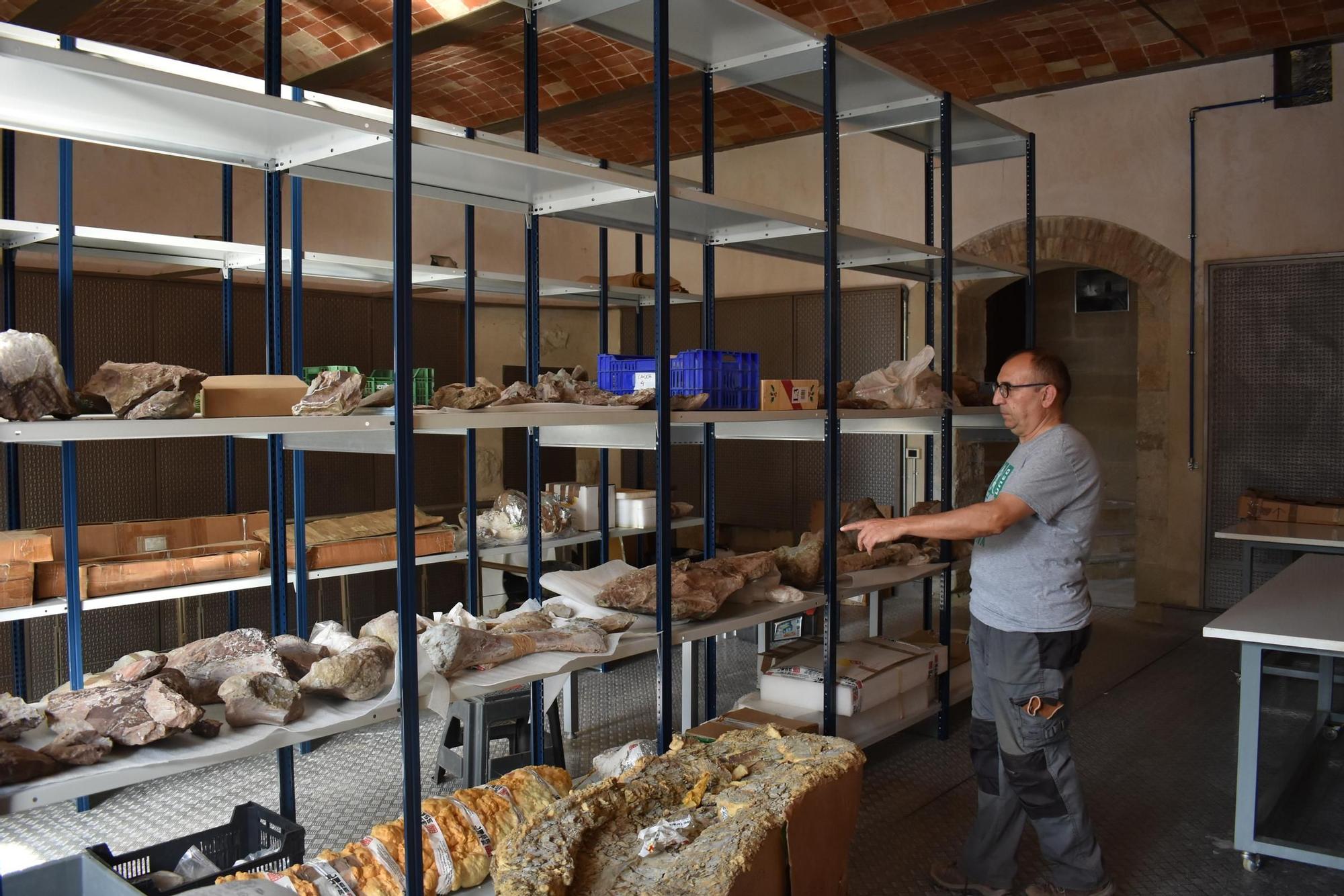 José Miguel Gasulla en los fondos del Museo Temps de Dinosaures de Morella