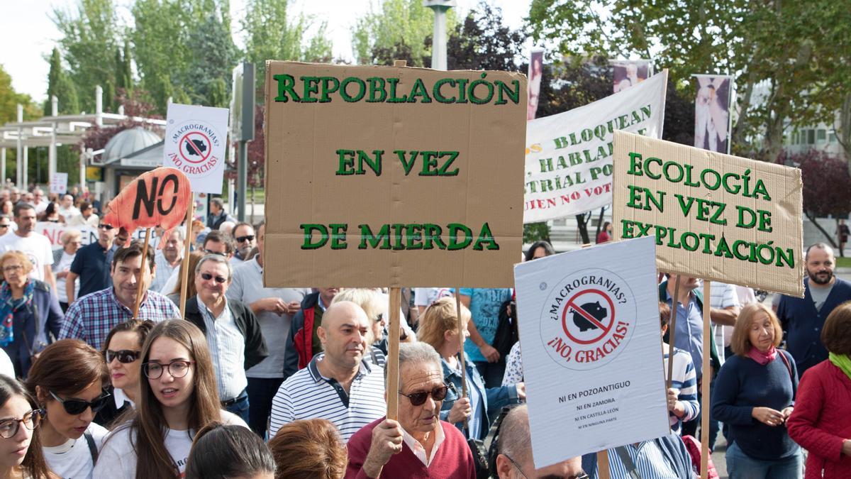 Manifestación contra la instalación de macrogranjas en Zamora.