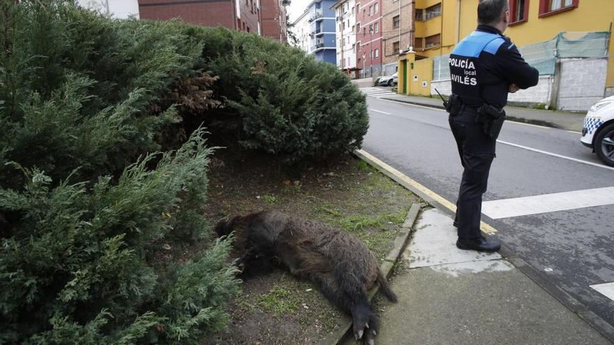 El suido muerto junto a un agente de la Policía Local.