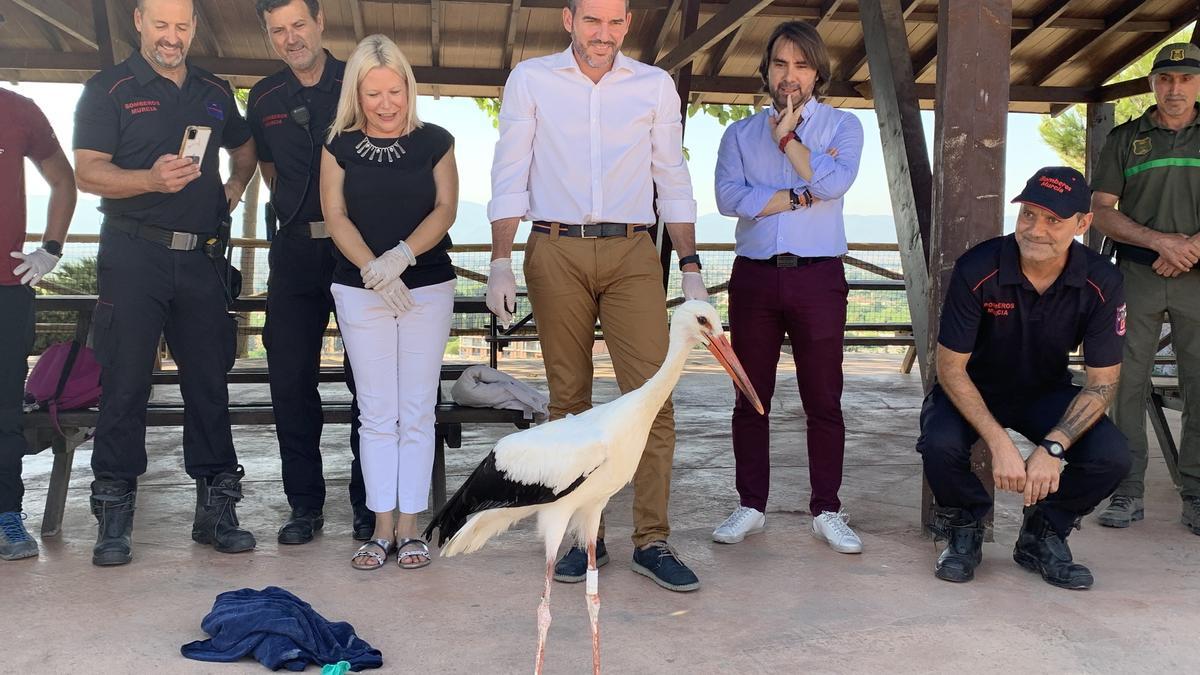 Antonio Luengo participa en la suelta de un ejemplar de cigüeña blanca.