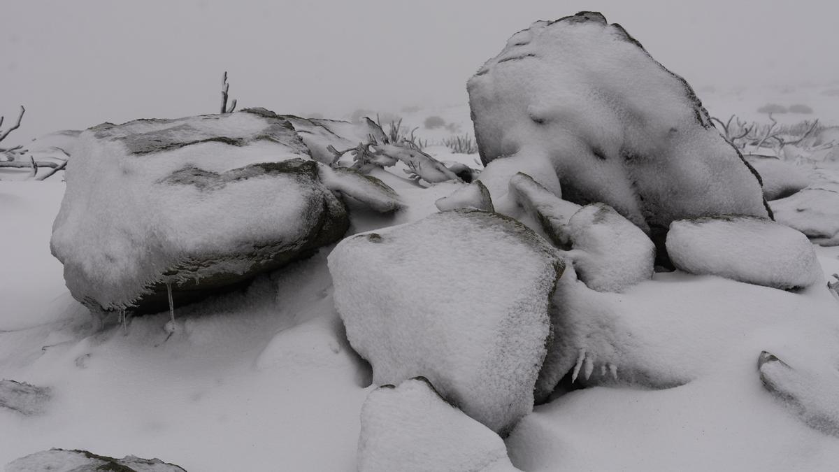FOTOGALERÍA | La nieve tiñe de blanco la sierra de Hervás FOTOGALERÍA | La nieve tiñe de blanco la sierra de Hervás