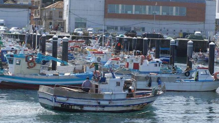 Barcos de la flota de bajura amarrados en un puerto gallego. / gonzalo nunez