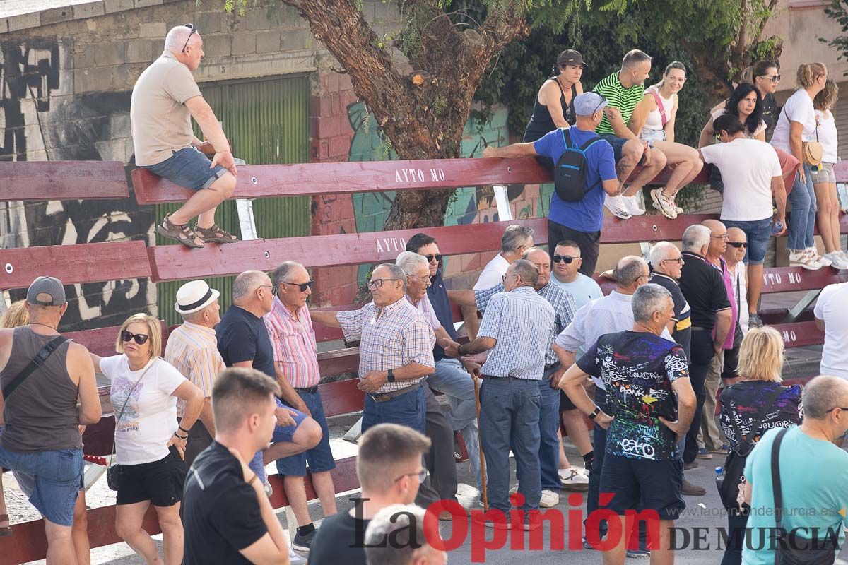 Séptimo encierro de las Fiestas de Moratalla