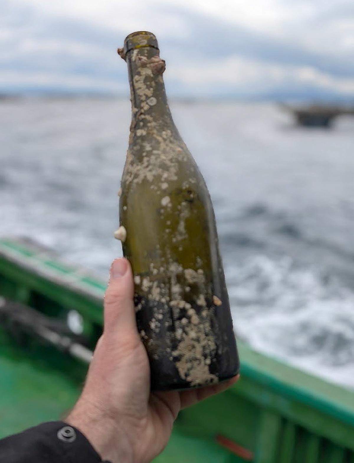 El vino fue sumegido hace quince años.