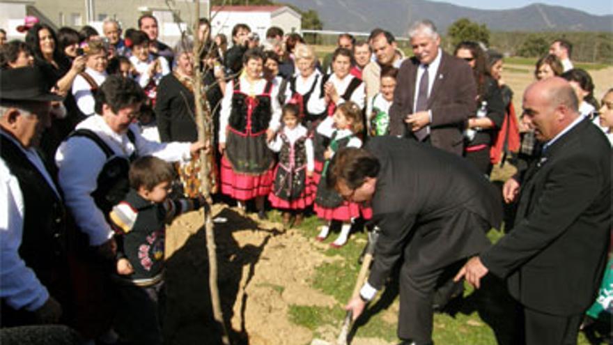 La 204 Fiesta del Árbol se convierte en un alegato contra la violencia machista