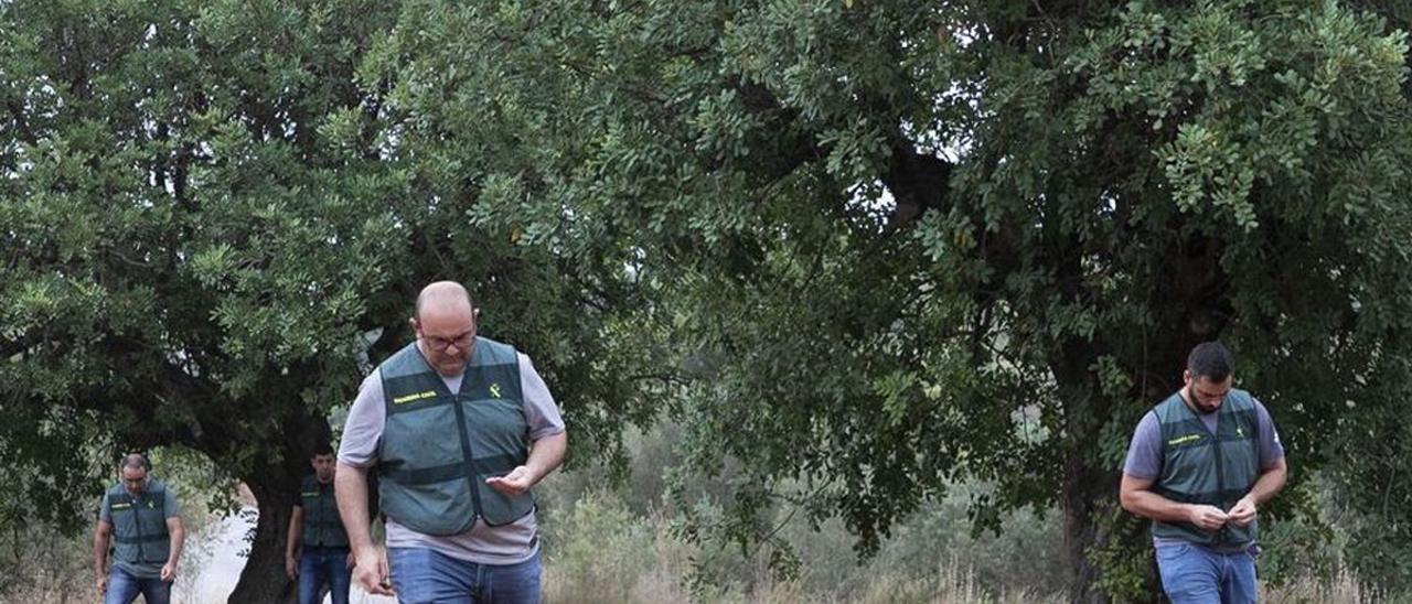 Equipo ROCA de la Guardia Civil que se dedica a perseguir delitos por el campo, como el robo de algarroba.