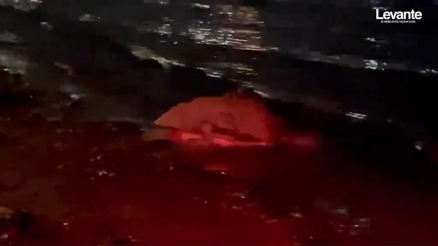Diana desova por segunda vez este verano en Dénia y... hasta la próxima: así ha vuelto al mar la tortuga