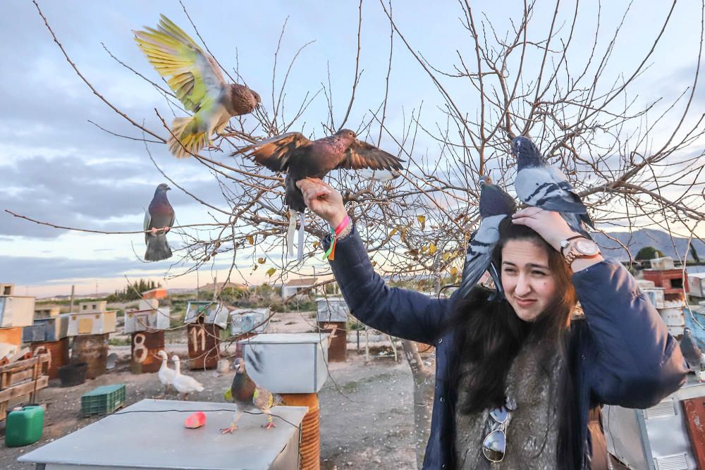 Albatera: Ana Cánovas es campeona nacional junior de colombicultura