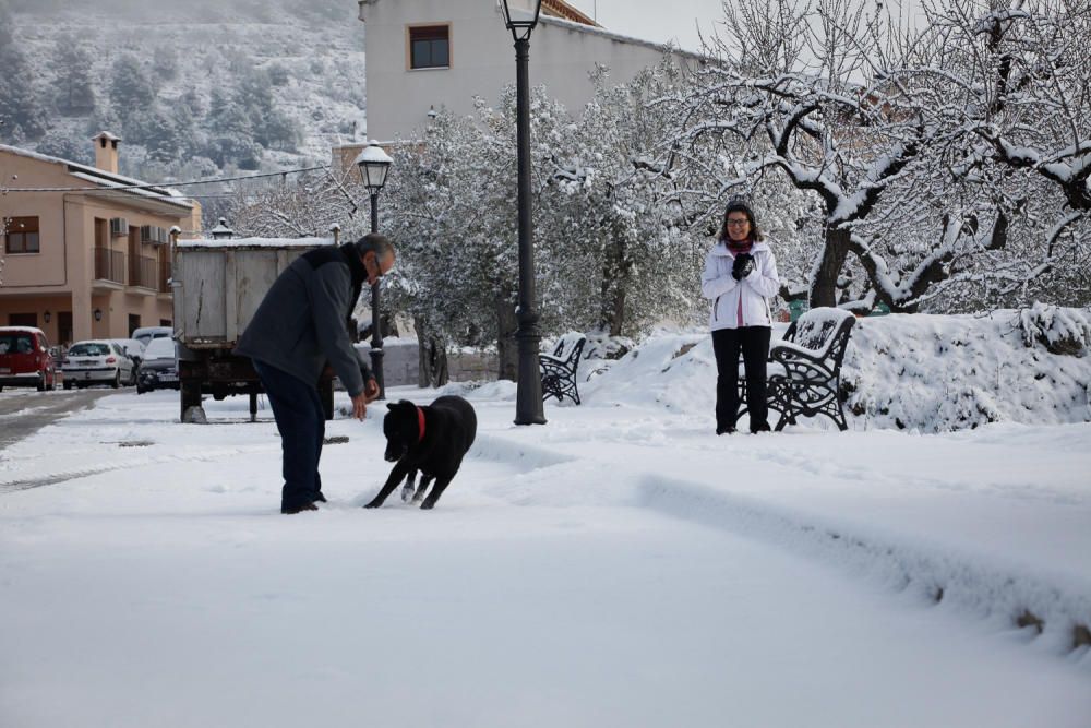 Los efectos de la nevada en Alcoy y comarca