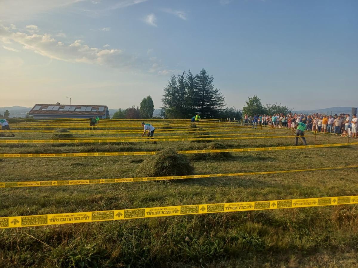 El concurso de siega de Santa Marina, en imágenes