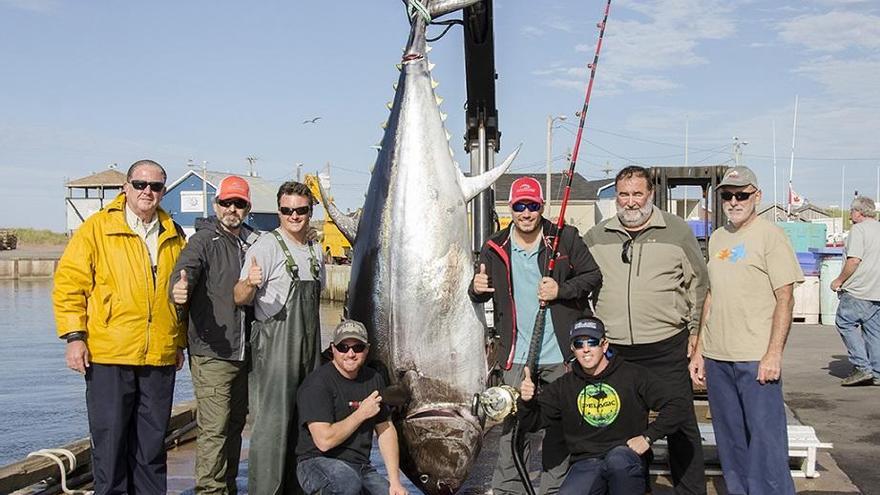 Dos valencianos ganan el internacional de pesca de atún gigante en Canadá