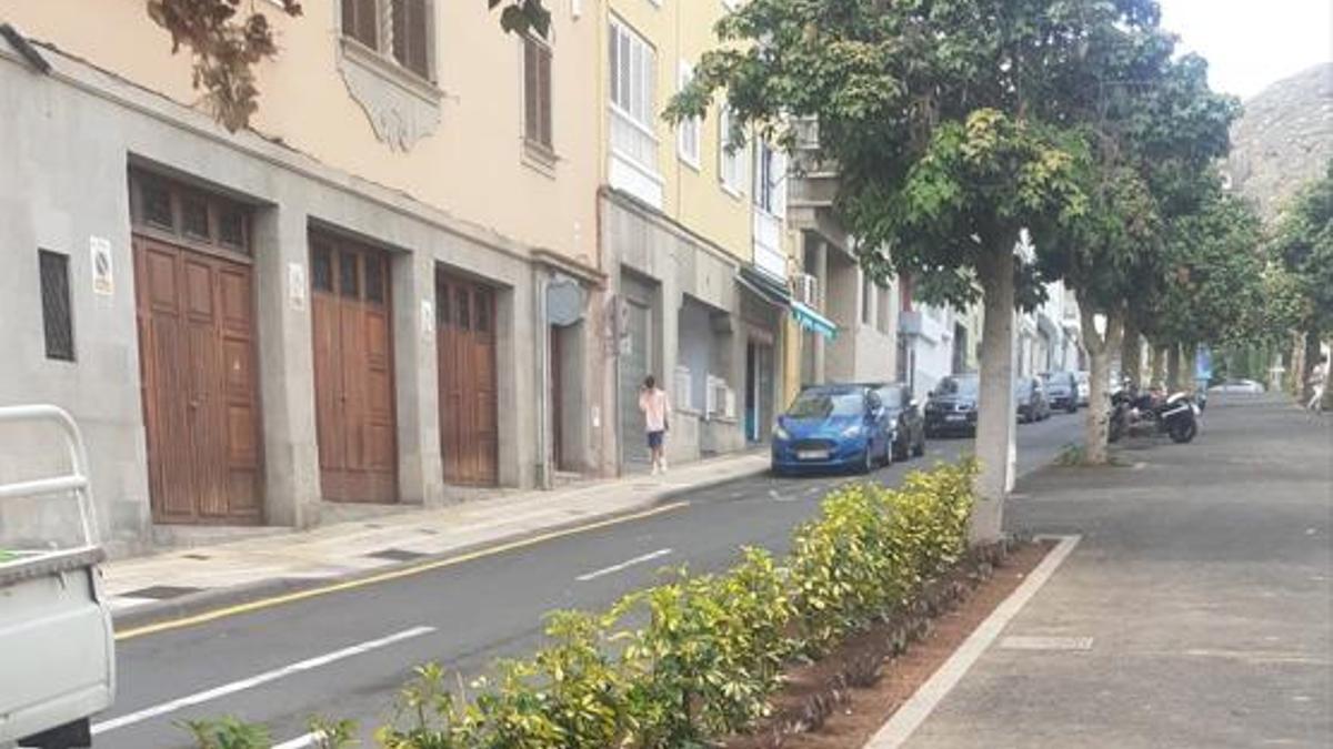 Zona de la avenida Veinticinco de Julio en la que se han retirado 11 árboles.