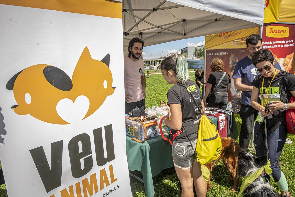 CAN WE RUN BARCELONA. La carrera organizada por Prensa Ibérica y El Periódico de Catalunya con la colaboración de Sport ,  donde las personas y sus mascotas perrunas corren en familia