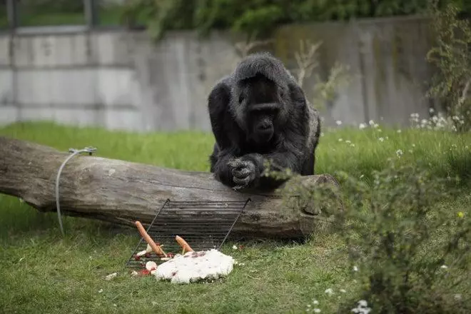 Los zoológicos más visitados del mundo