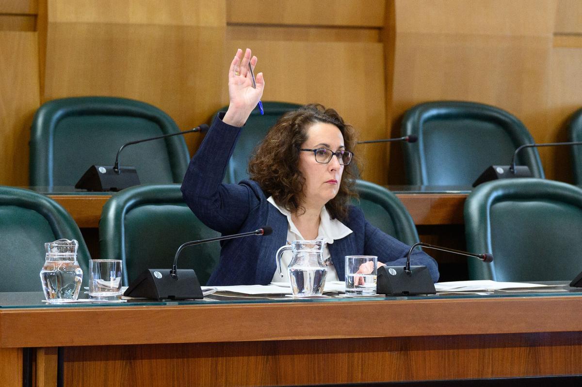 La concejala de Vox, Eva Torres, votando en contra del presupuestos.