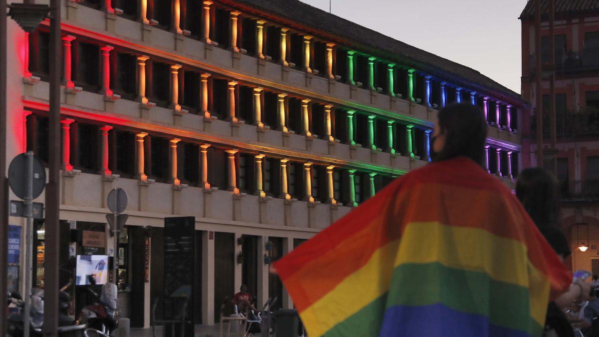 Orgullo iluminado e ilustrado