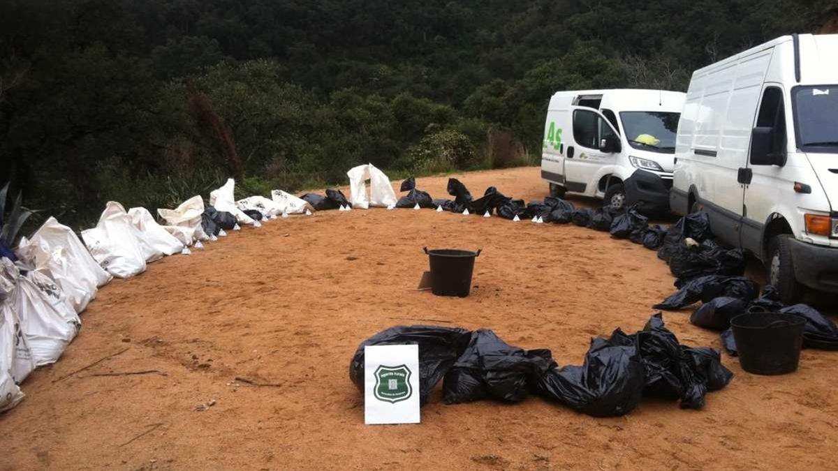 El depósito ilegal con cadáveres de perros y gatos localizado en la cala Salionç, en Tossa de Mar.