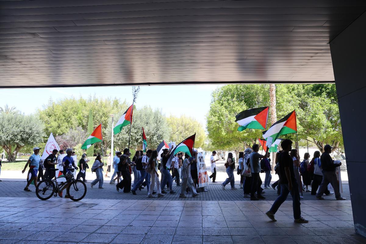 Un instante de la manifestación pro Palestina en la UA