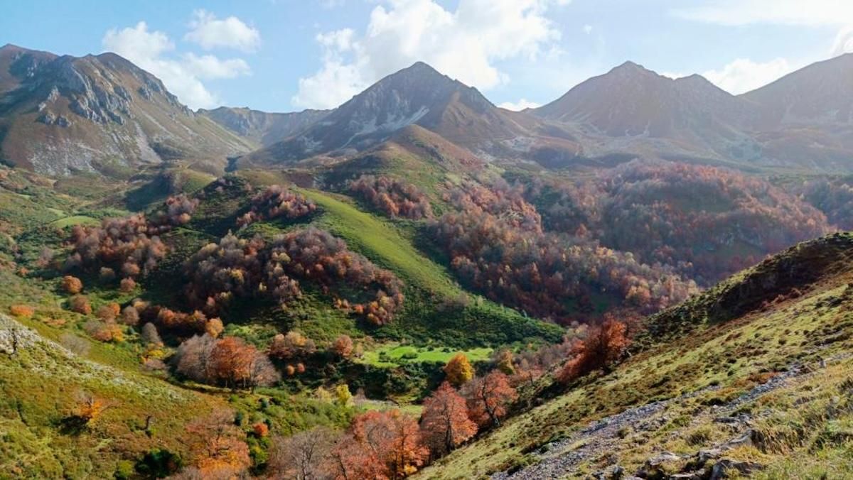 Bosque de Redes, en Asturias.
