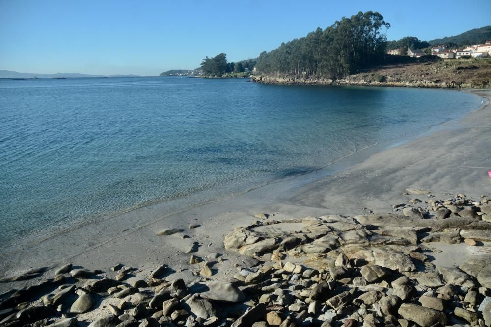 Escolares de Poio retiran de la playa de Chancelas hasta 400 kilos de basura