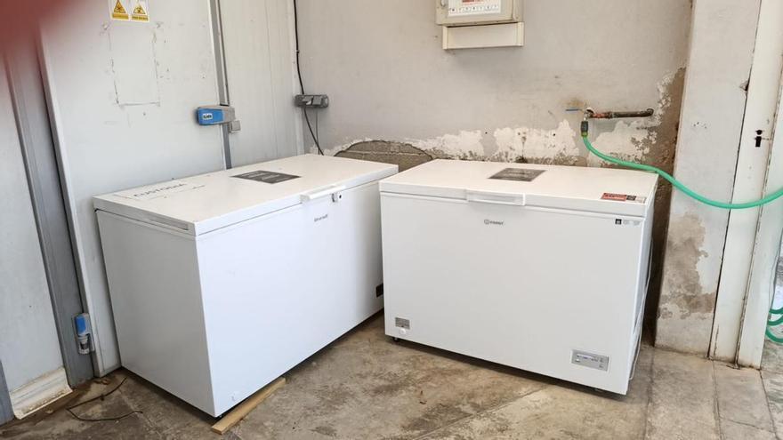 Cort niega que en la perrera de Son Reus haya animales descomponiéndose y agua contaminada