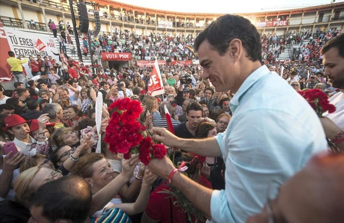 El secretario general del PSOE, Pedro Sánchez, durante el acto electoral que los socialistas han celebrado esta tarde en la Plaza de Toros de Cáceres.