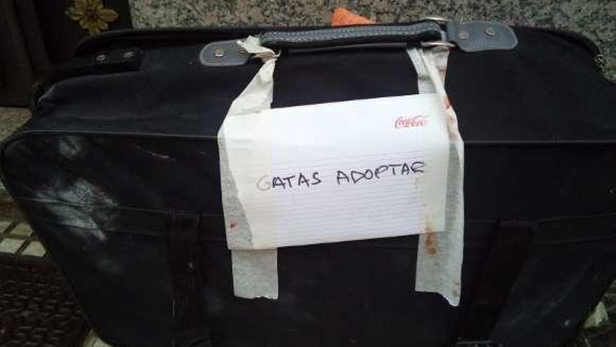 Maleta en la que aparecieron las gatas, con el cartel.