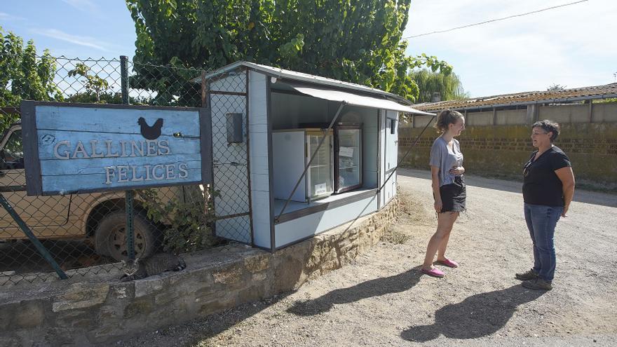 Un negoci com els dels països nòrdics, amb gallines a Casavells