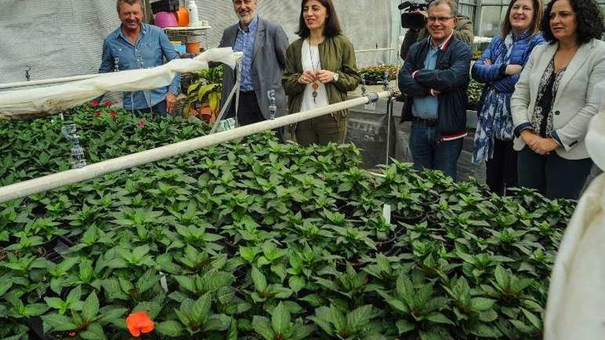 Visita de la conselleira al vivero de Romai. // Iñaki Abella