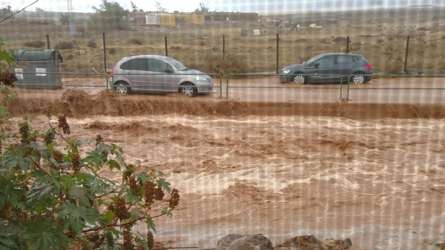 Lluvia en Ojos de Garza