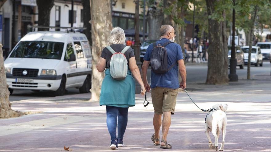 El número de perros censados se dispara en Xàtiva con más de 300 al año