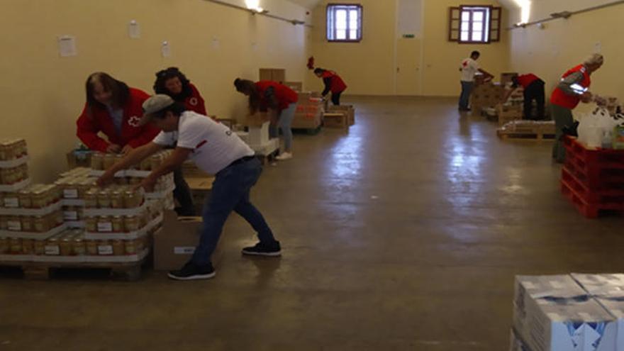 Voluntarios de Cruz Roja en La Laguna.