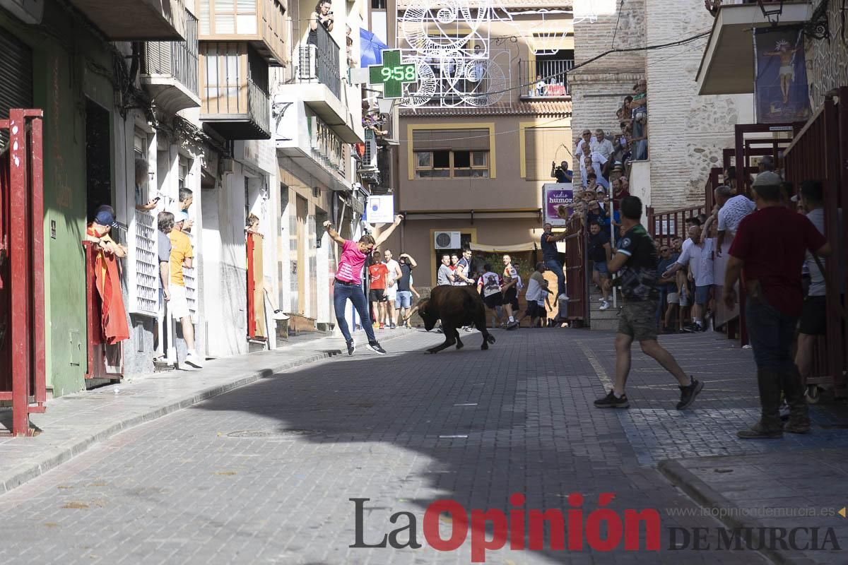 Cuarto encierro en las Fiestas de Moratalla