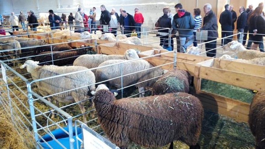 Todo listo para la XIV Feria Agrícola, Comercial y Ganadera