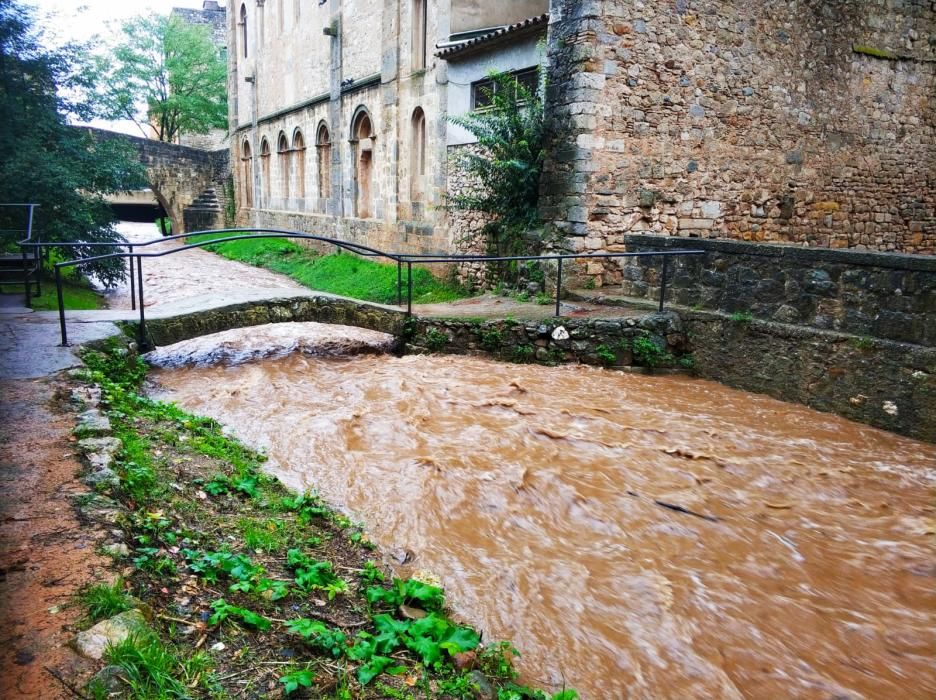 El Galligants al seu pas per la ciutat de Girona