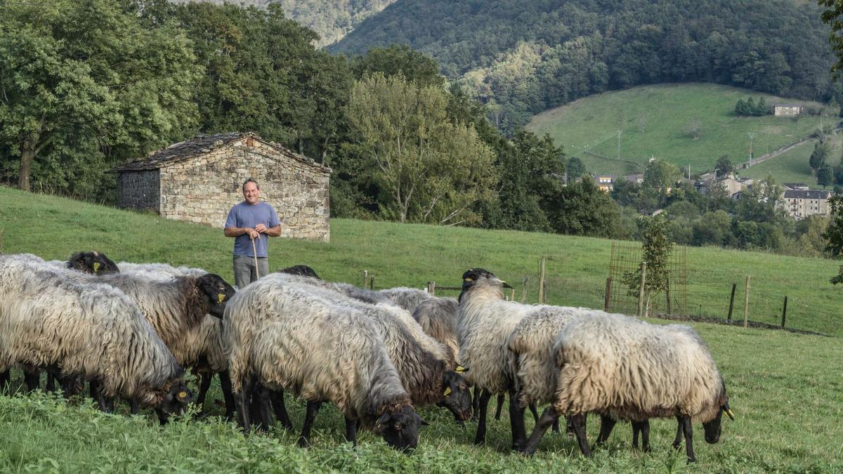 Isidro Crespo, junto a las ovejas que cuida en Cabañas del Pax (Cantabria).