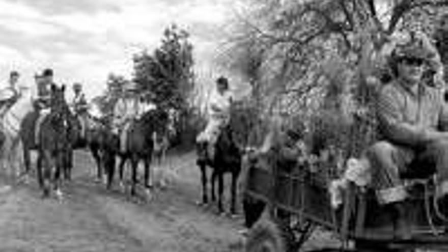 Flores y una escolta de caballos para la Virgen de Argeme