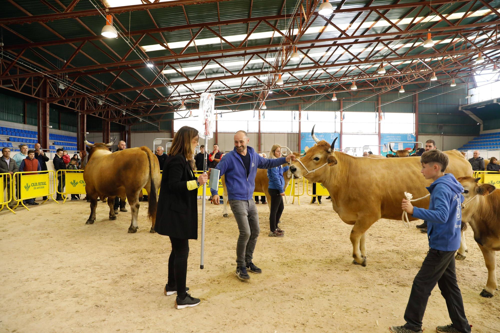 El gran cierre de La Ascensión: así fue la última jornada festiva en la feria del campo en Oviedo