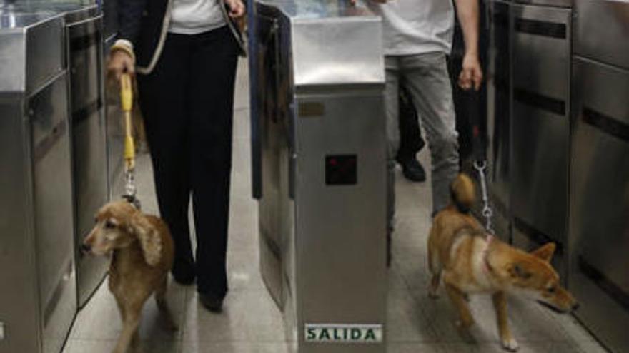 Un gos queda atrapat en un ascensor del metro... i demana ajuda per l&#039;intèrfon