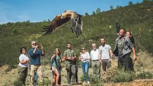 Una suelta muy esperada: día de la devolución a la naturaleza del joven Melendri, en el Parque Nacional de Monfragüe.