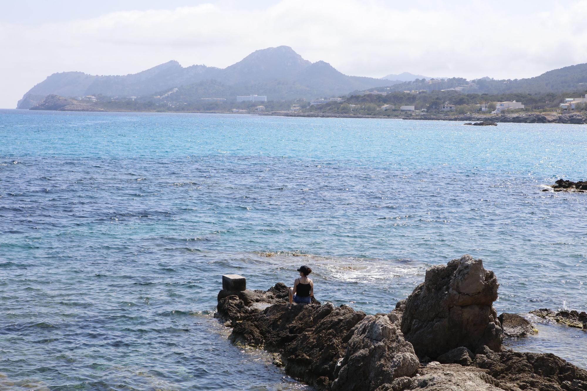 Frühlingsgefühle an der Promenade von Cala Ratjada