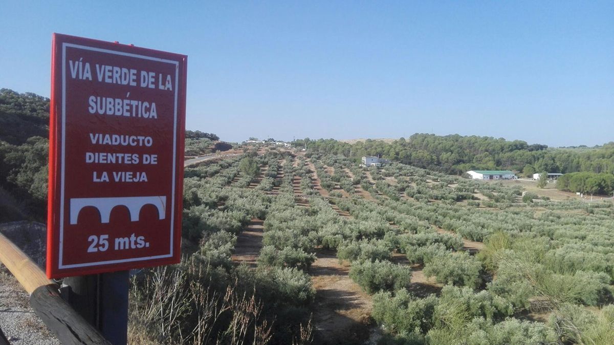 Vía verde del aceite