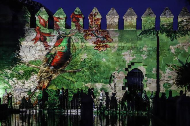 El espectáculo nocturno del Alcázar, en imágenes
