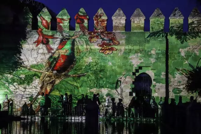 El espectáculo nocturno del Alcázar, en imágenes