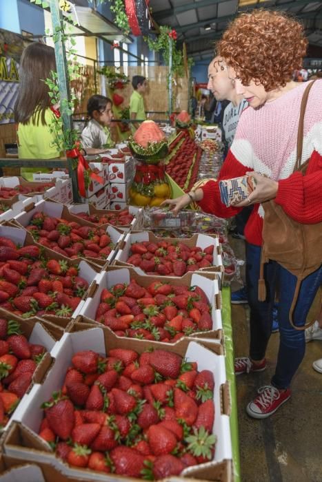 GRAN CANARIA 29-04-2018   VALSEQUILLO.  Feria de ...