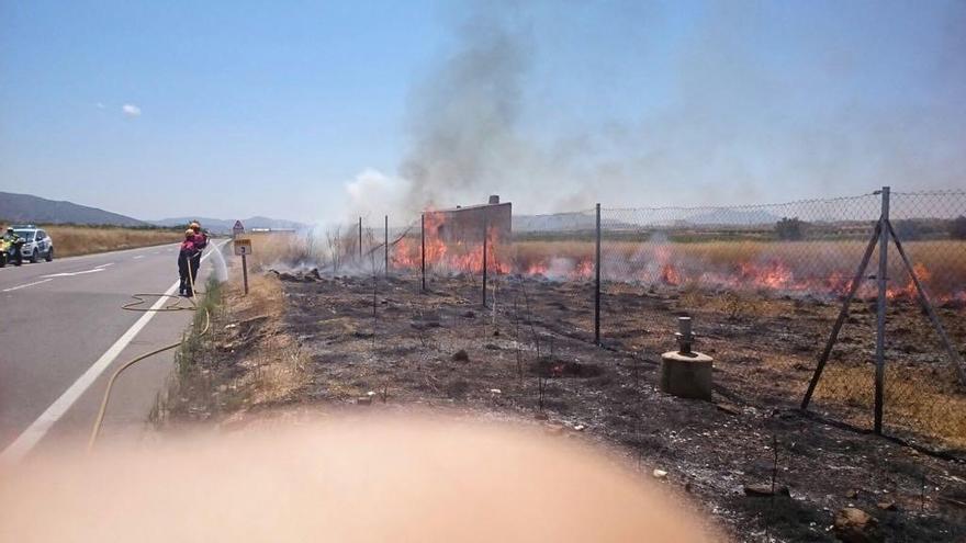 Incendio en una cuneta de la carretera de Pinoso