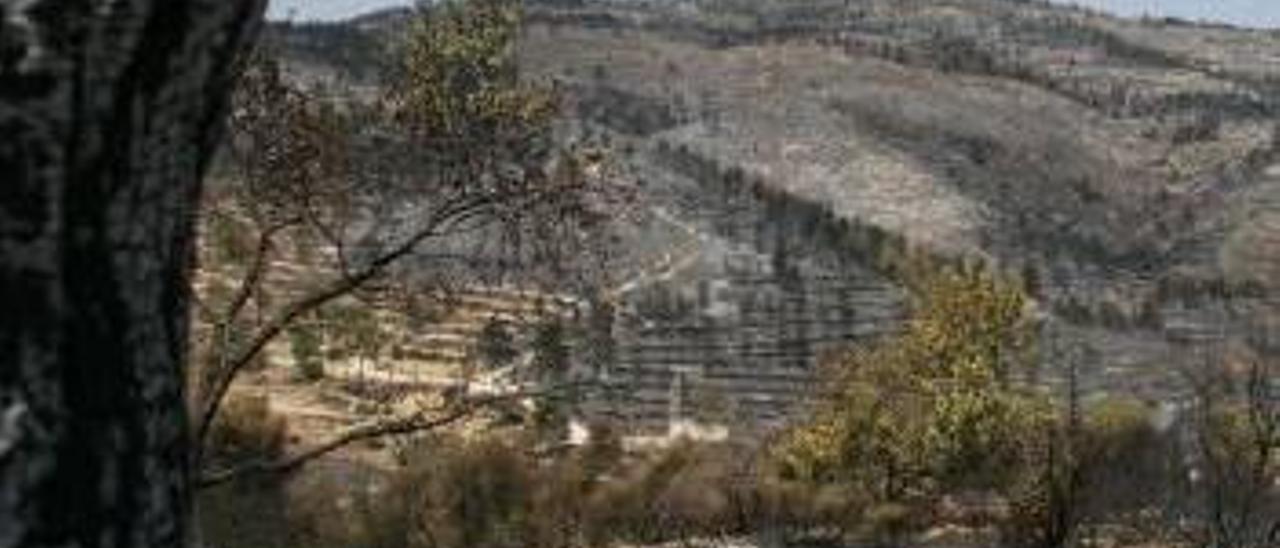 Comienza el juicio por el incendio de l&#039;Alcalatén ocho años después