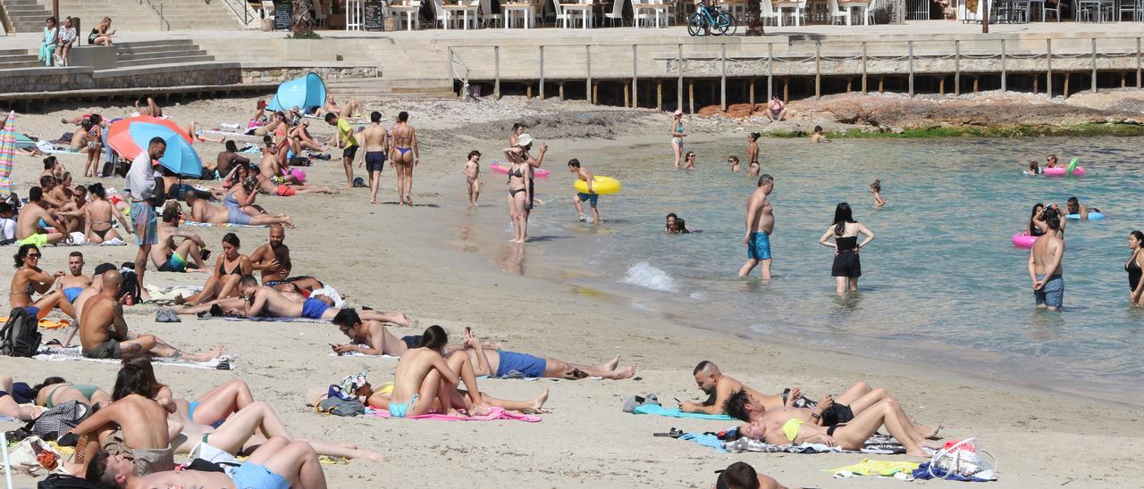 Turistas en ses Figueretes, este año. D.I.